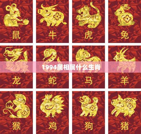 94年属|1994出生属什么生肖查询，1994多大年龄，1994今年几岁